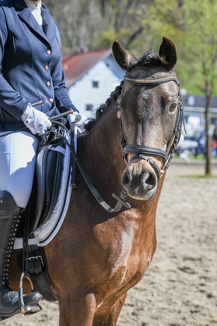 尽管天赋异 尽管天赋异