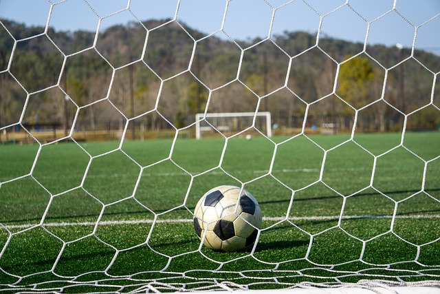 己的技术 己的技术