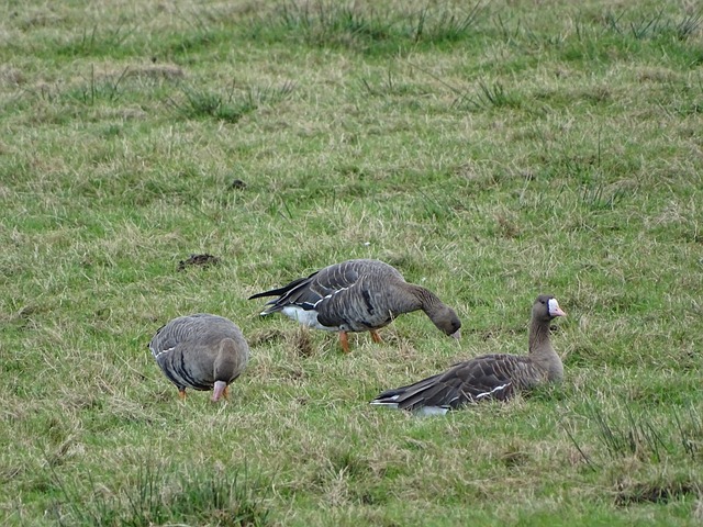 更多时候 更多时候