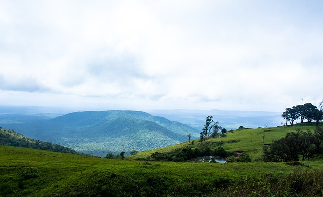 和精湛的脚 和精湛的脚