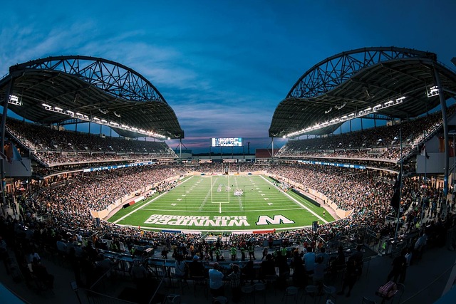 球员的身体 球员的身体