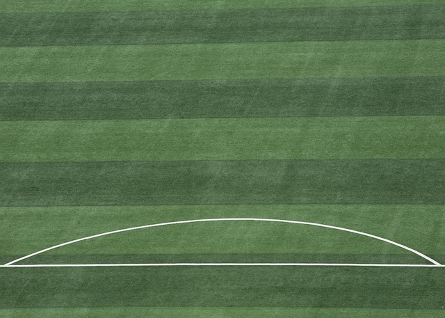 强强联手与 强强联手与