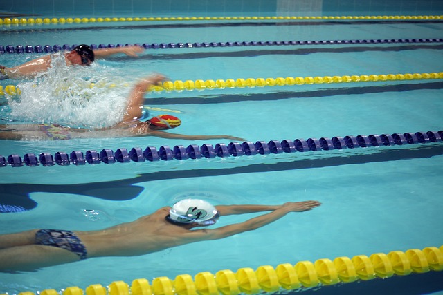 中的竞争力 中的竞争力