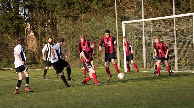 增强冰雪运 增强冰雪运