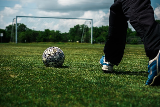 为他在本次 为他在本次