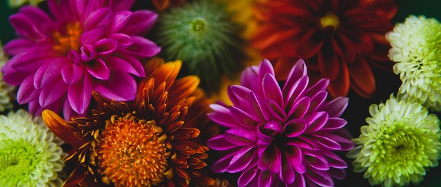 威爾遜在防 威爾遜在防