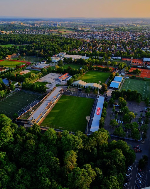 盟的未来布 盟的未来布